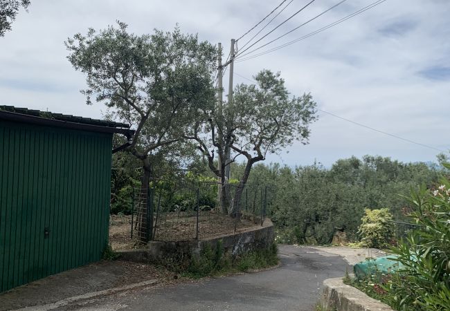 Villa in Massa Lubrense - AMORE RENTALS - Villa Giulia with Private Pool, Sea View, Terraces and Parking Villa in Massa Lubrense - AMORE RENTALS - Villa Giulia with Private Pool, Sea View, Terraces and Parking
