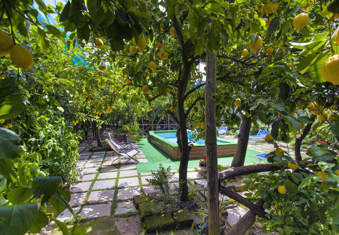 Villa in Massa Lubrense - AMORE RENTALS - Villa Imma with Private Swimming Pool, Sea View and Parking