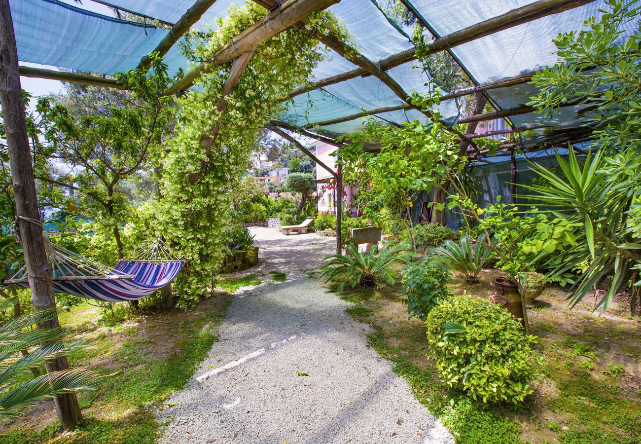 Villa in Massa Lubrense - AMORE RENTALS - Villa Imma with Private Swimming Pool, Sea View and Parking