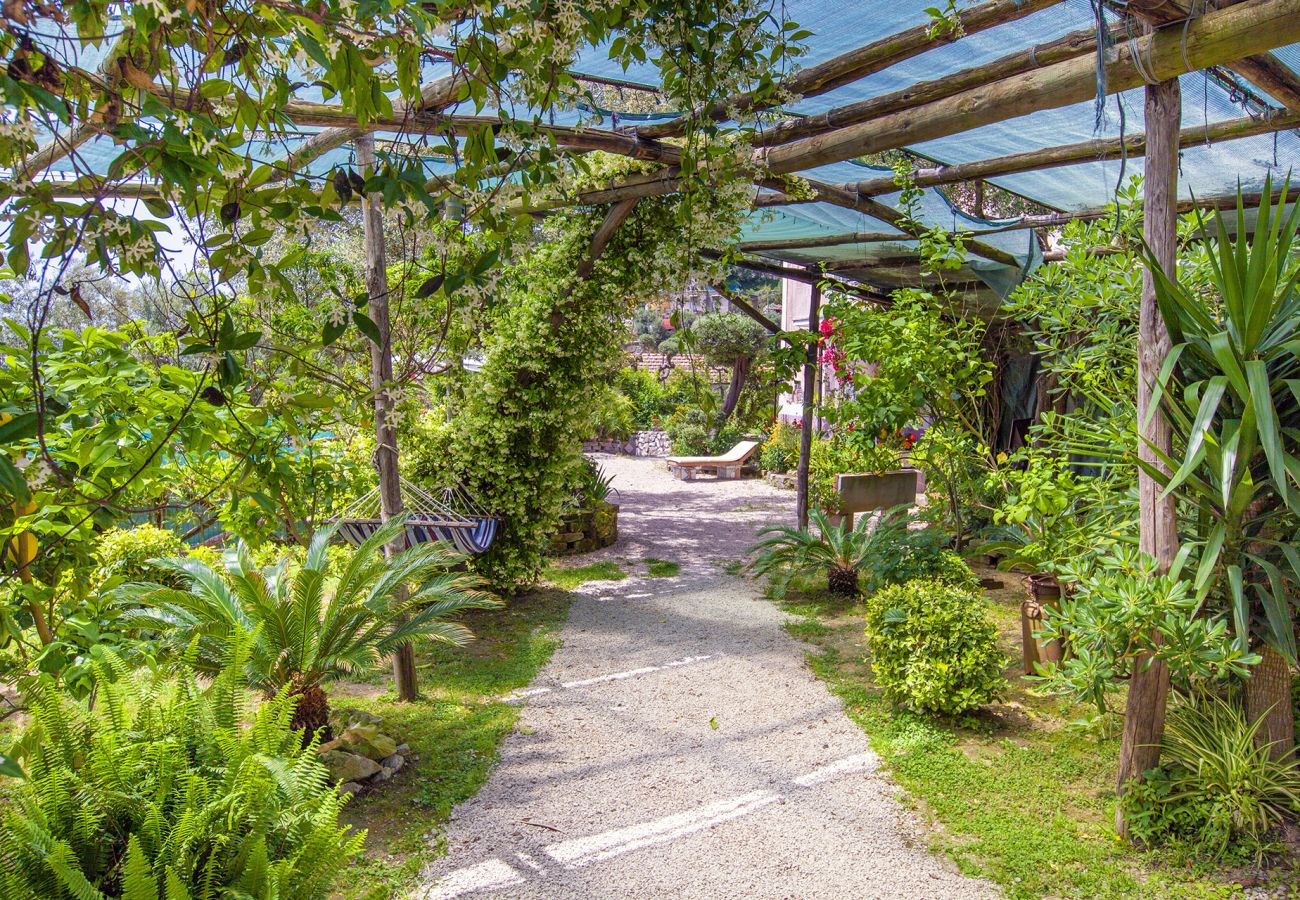 Villa in Massa Lubrense - AMORE RENTALS - Villa Imma with Private Swimming Pool, Sea View and Parking