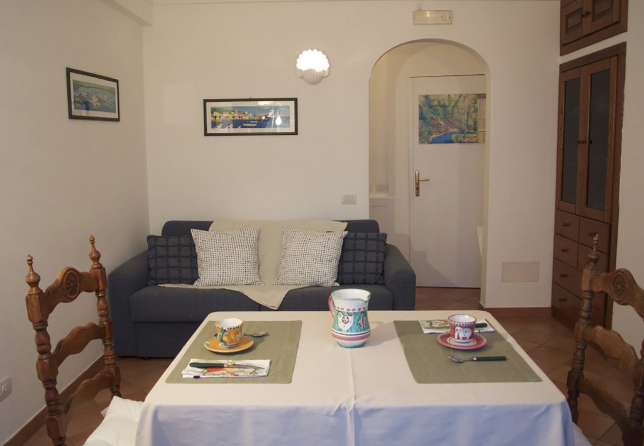Apartment in Positano - AMORE RENTALS - Apartment Mare B with Sea View, Air Conditioning Positano Center