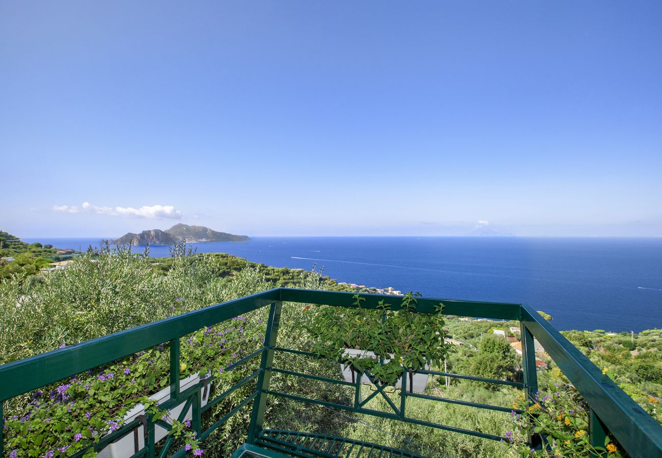 Villa in Massa Lubrense - AMORE RENTALS - Villa Elia with Private Pool, Sea View, Terraces, Parking and Garden