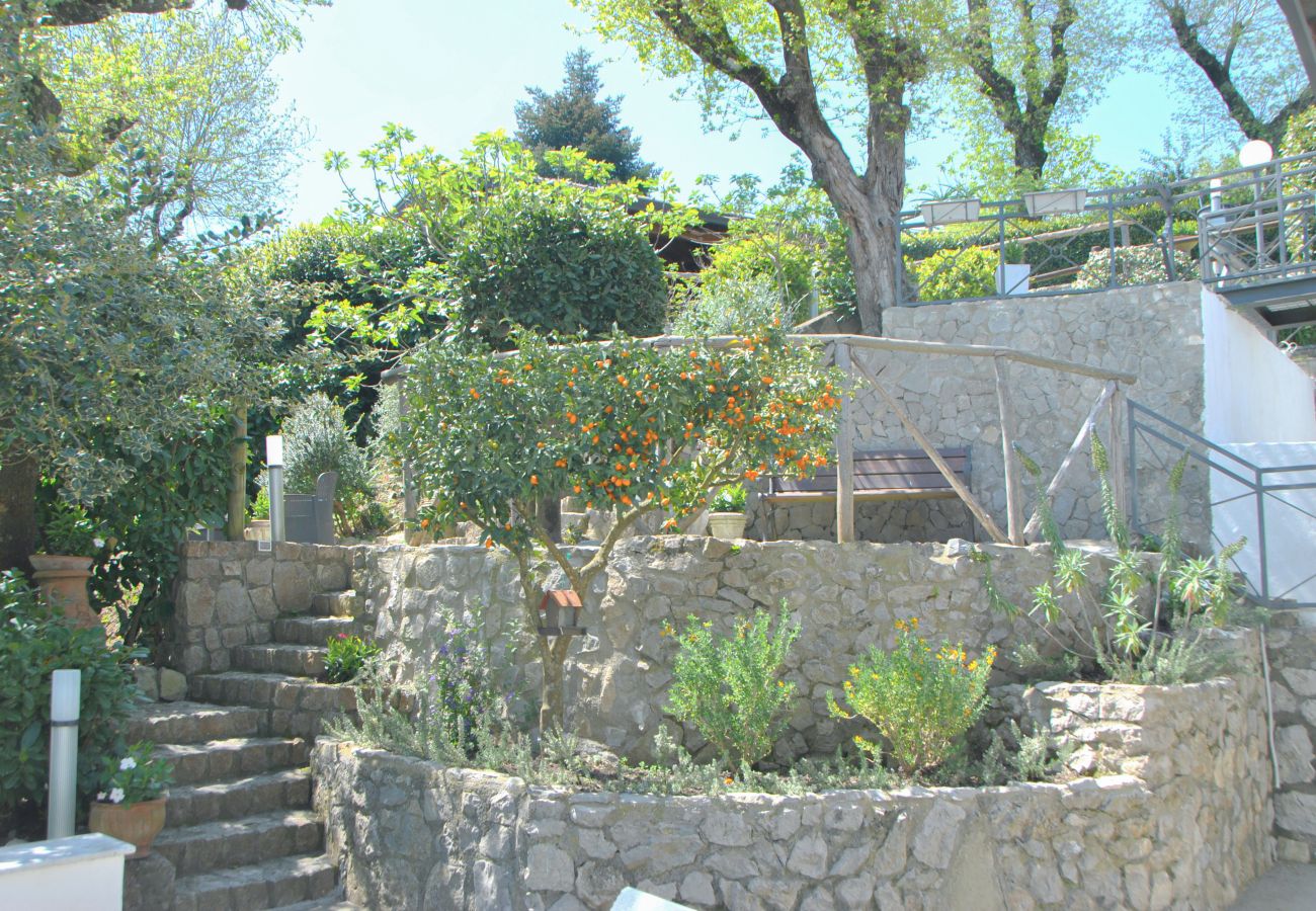 Villa in Sant´Agnello - AMORE RENTALS - Villa Calisto with Private Swimming Pool, Garden, Jacuzzi, Sea view and Parking