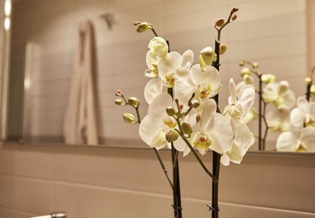Villa in Sorrento - AMORE RENTALS - Villa Lux with Private Swimming Pool, Parking and Terrace Villa in Sorrento - AMORE RENTALS - Villa Lux with Private Swimming Pool, Parking and Terrace