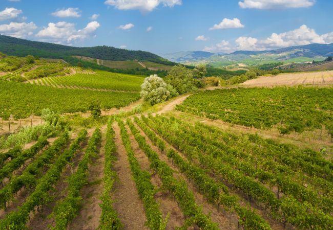 Villa in Panzano - AMORE RENTALS - Villa Bellaflore with 3 Private Pools, Garden, Terraces and Parking Villa in Panzano - AMORE RENTALS - Villa Bellaflore with 3 Private Pools, Garden, Terraces and Parking