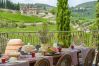 Villa in Panzano - AMORE RENTALS - Villa Bellaflore with 3 Private Pools, Garden, Terraces and Parking Villa in Panzano - AMORE RENTALS - Villa Bellaflore with 3 Private Pools, Garden, Terraces and Parking