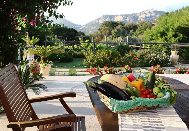 Villa in Sant´Agnello - AMORE RENTALS - Villa Tina with Private Swimming Pool, Sea View, Terraces, Garden and Parking Villa in Sant´Agnello - AMORE RENTALS - Villa Tina with Private Swimming Pool, Sea View, Terraces, Garden and Parking