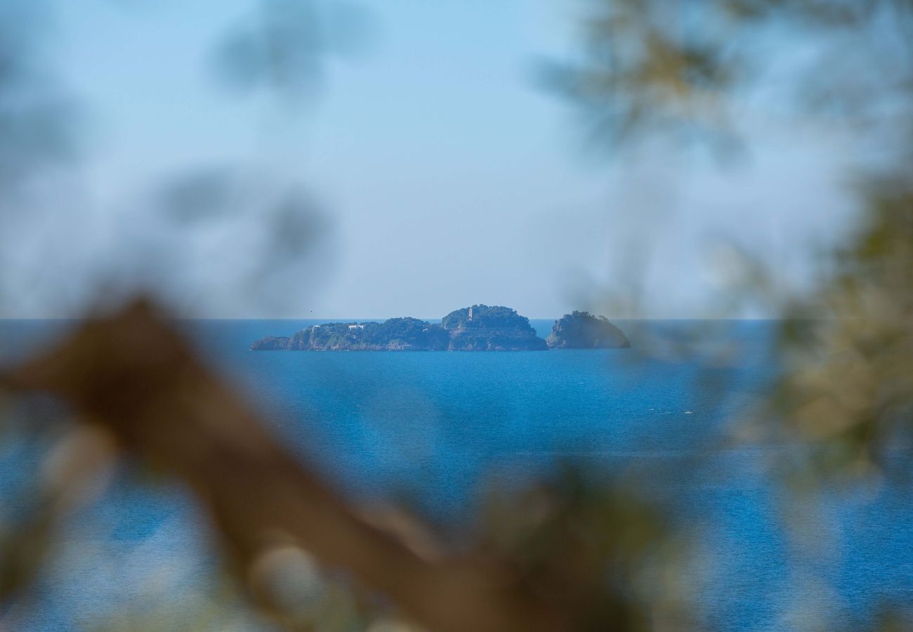 Villa in Positano - AMORE RENTALS - Villa Le Sirene with Outdoor Jacuzzi and Sea View