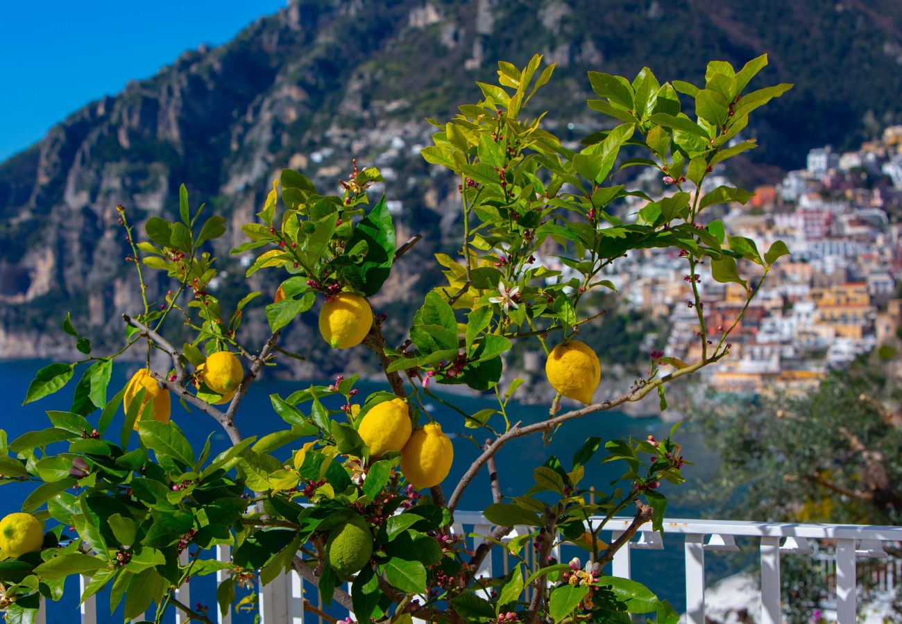 Villa in Positano - AMORE RENTALS - Villa Le Sirene with Outdoor Jacuzzi and Sea View