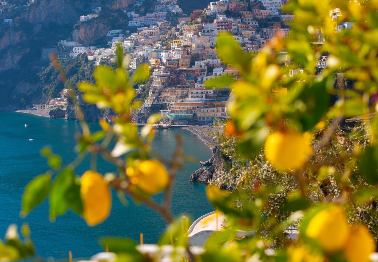 Villa in Positano - AMORE RENTALS - Villa Le Sirene with Outdoor Jacuzzi and Sea View