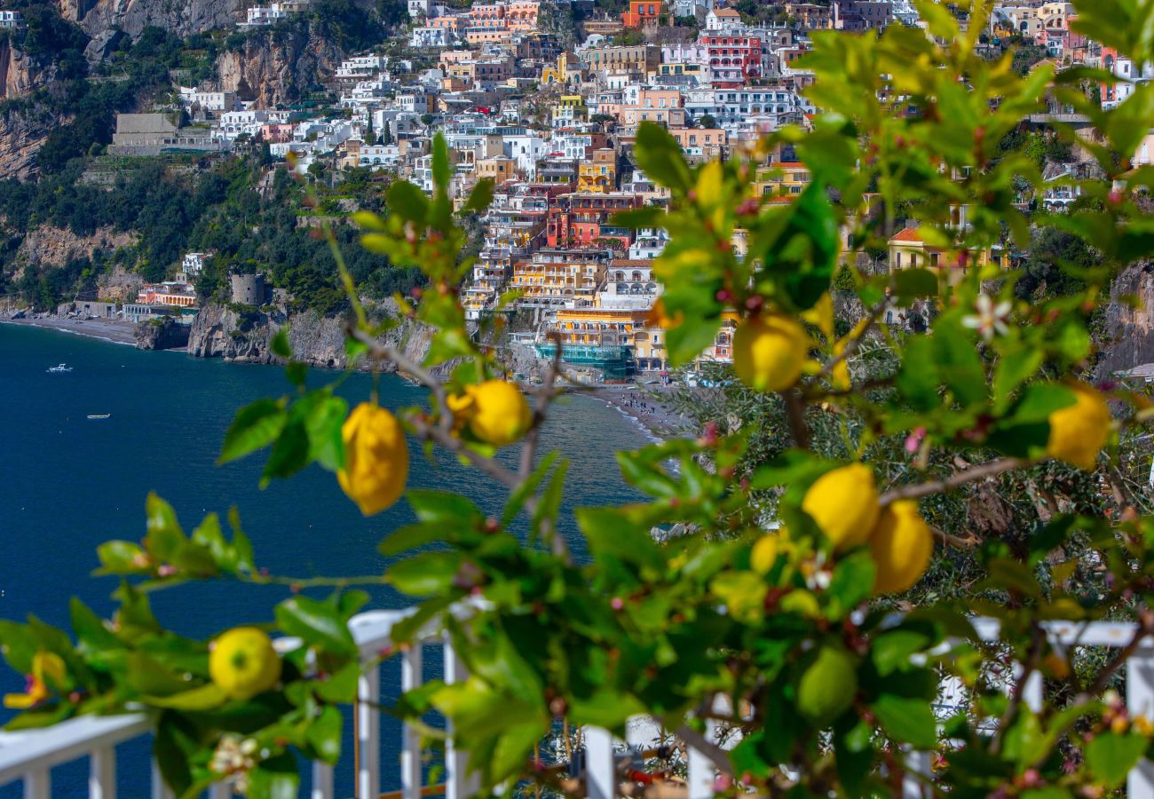 Villa in Positano - AMORE RENTALS - Villa Le Sirene with Outdoor Jacuzzi and Sea View