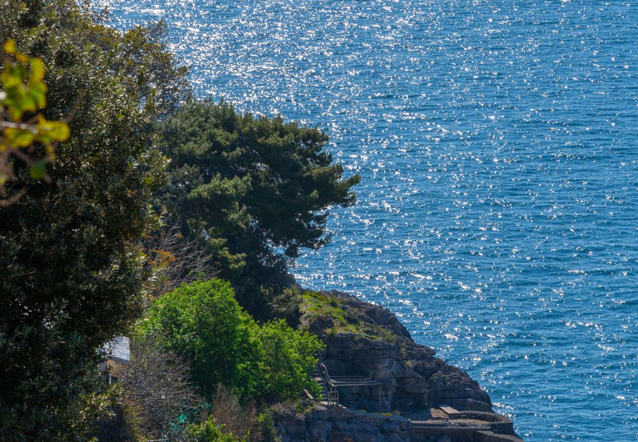 Villa in Positano - AMORE RENTALS - Villa Le Sirene with Outdoor Jacuzzi and Sea View