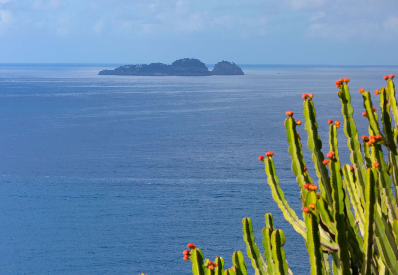 Villa in Positano - AMORE RENTALS - Villa Le Sirene with Outdoor Jacuzzi and Sea View