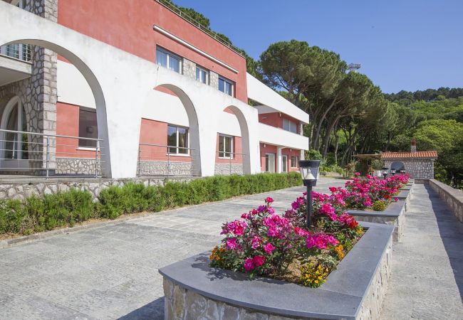 Villa in Sorrento - AMORE RENTALS - Villa Daniela with Swimming pool, Wellness Area, Garden and Sea View Villa in Sorrento - AMORE RENTALS - Villa Daniela with Swimming pool, Wellness Area, Garden and Sea View