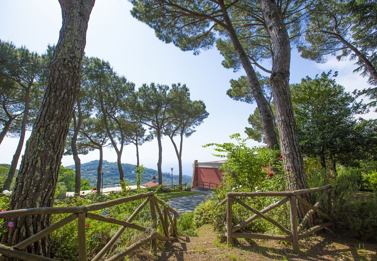 Villa in Sorrento - AMORE RENTALS - Villa Daniela with Swimming pool, Wellness Area, Garden and Sea View