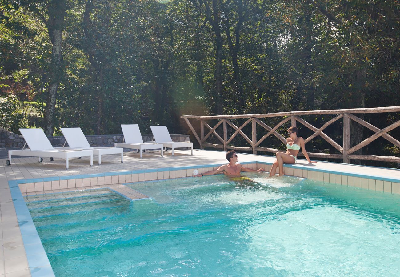 Villa in Sorrento - AMORE RENTALS - Villa Daniela with Swimming pool, Wellness Area, Garden and Sea View