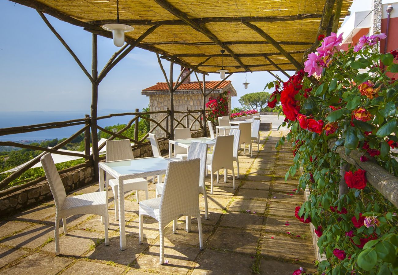 Villa in Sorrento - AMORE RENTALS - Villa Daniela with Swimming pool, Wellness Area, Garden and Sea View