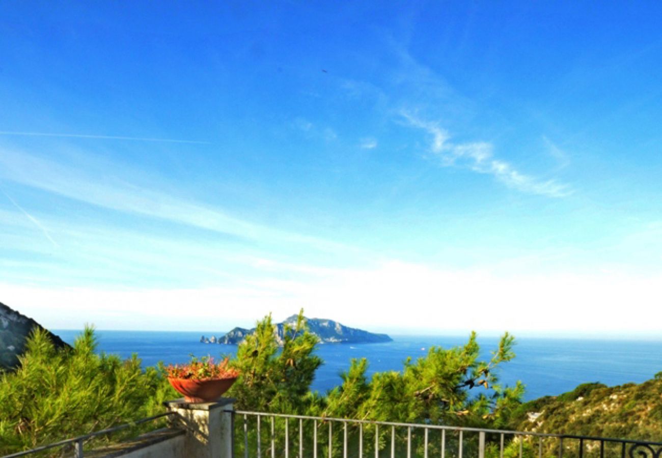 Villa in Massa Lubrense - AMORE RENTALS - Villa Posidonia with Sea View, Swimming Pool and Garden