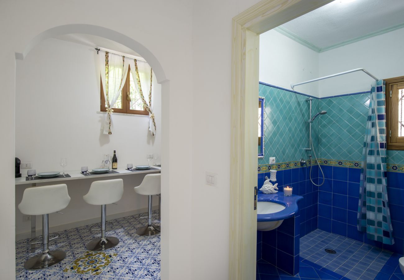 House in Positano - AMORE RENTALS - Casa Barbera A with Sea View and Air Conditioning