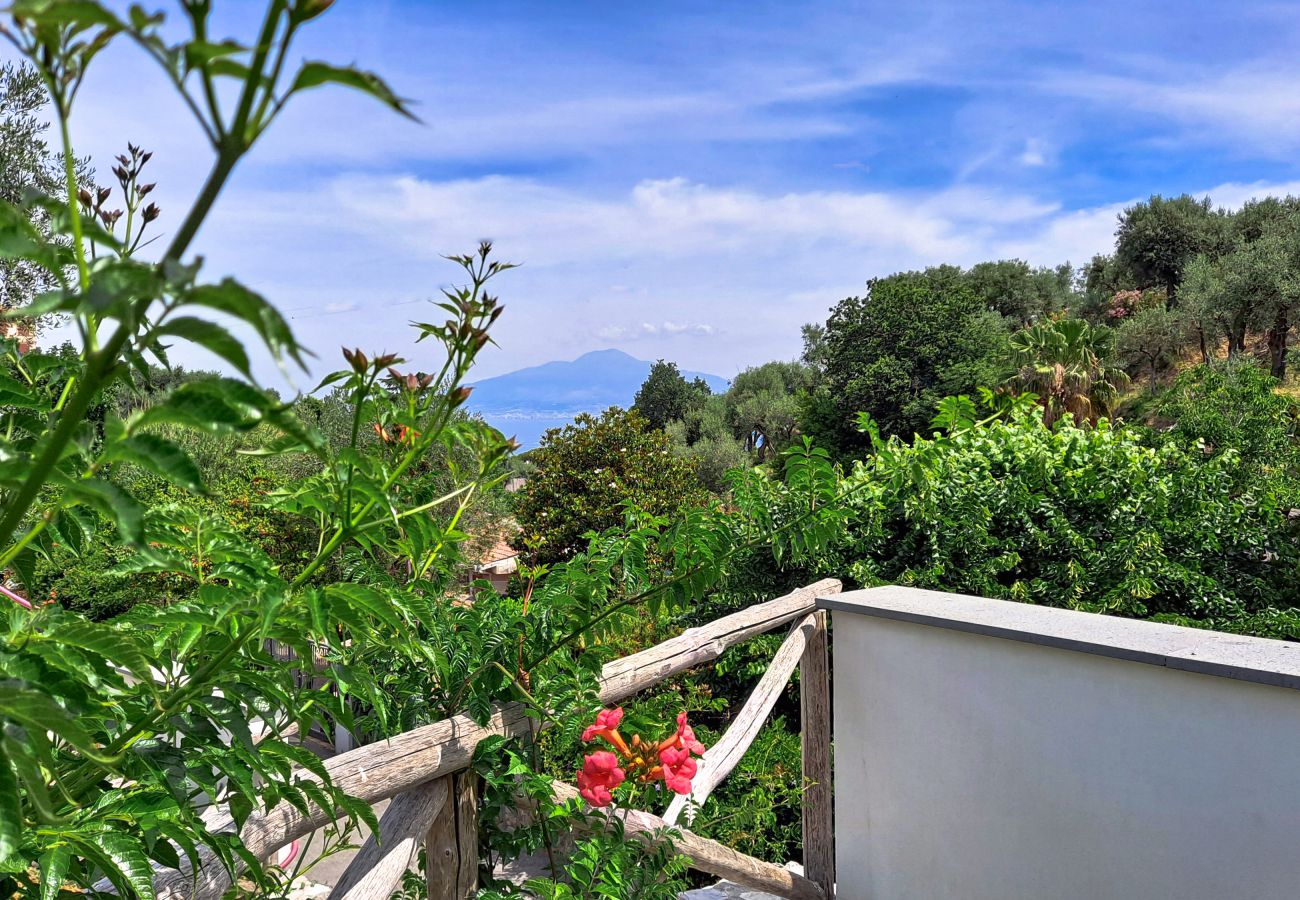 Villa in Sorrento - AMORE RENTALS - Villa Annachiara with Bio Pool and Private Garden