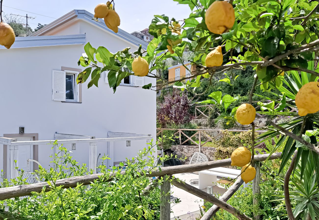 Villa in Sorrento - AMORE RENTALS - Villa Annachiara with Bio Pool and Private Garden