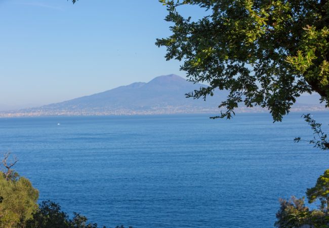 Villa in Sorrento - AMORE RENTALS - Villa Nina with Pool and Sea View Villa in Sorrento - AMORE RENTALS - Villa Nina with Pool and Sea View