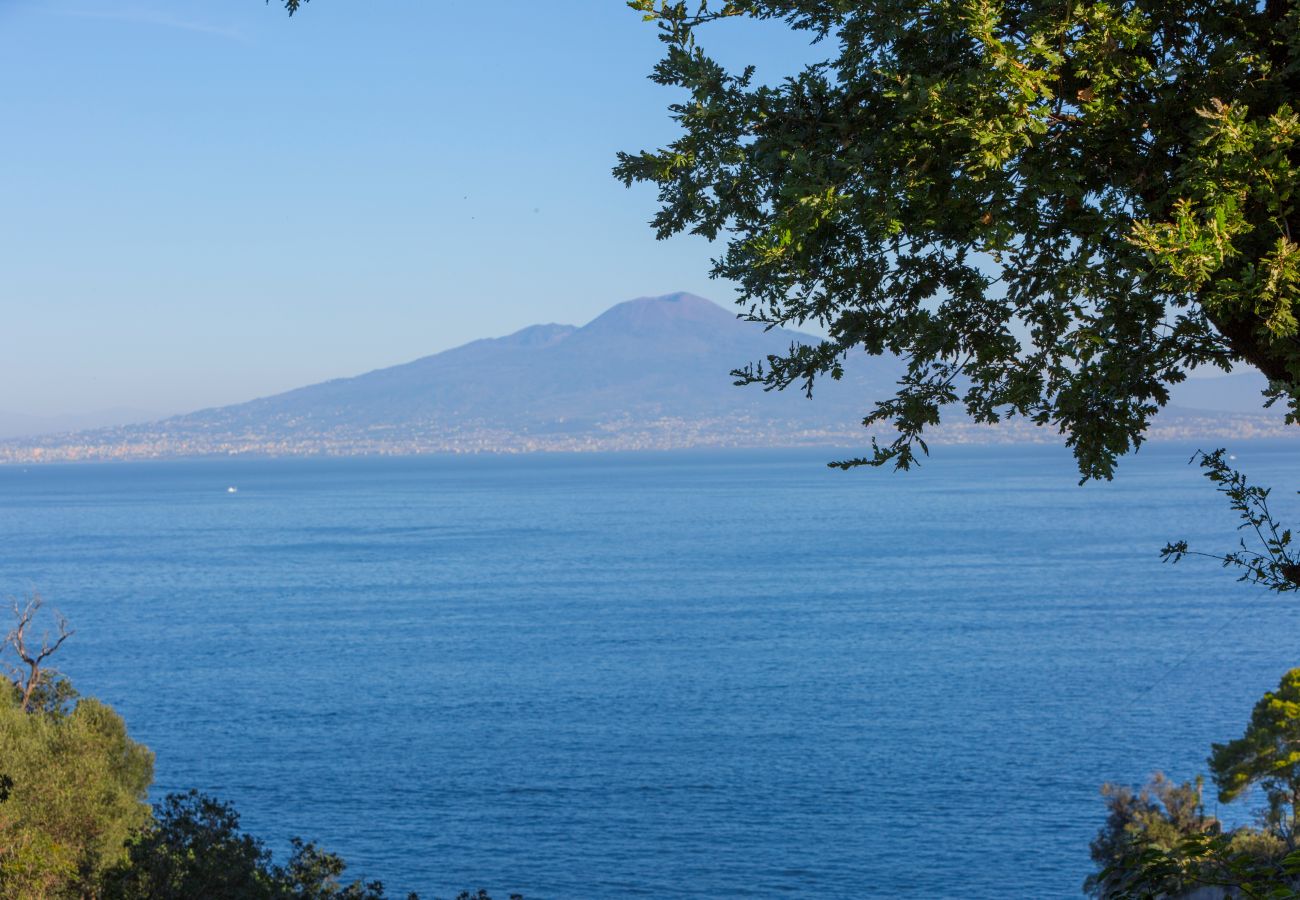 Villa in Sorrento - AMORE RENTALS - Villa Sorrento Dream Resort