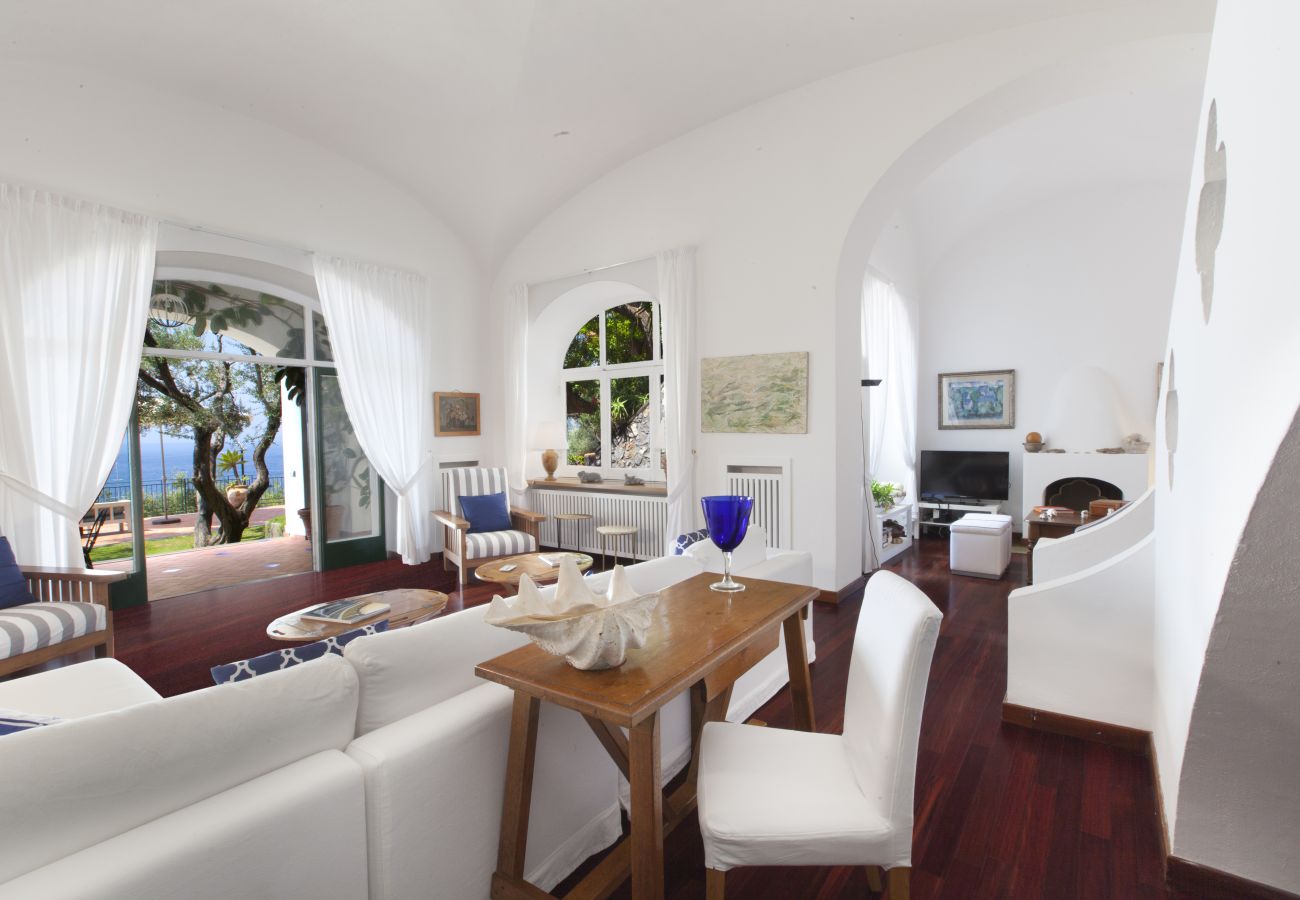 Villa in Positano - AMORE RENTALS - La Villa Positano with Direct Sea Access and Garden