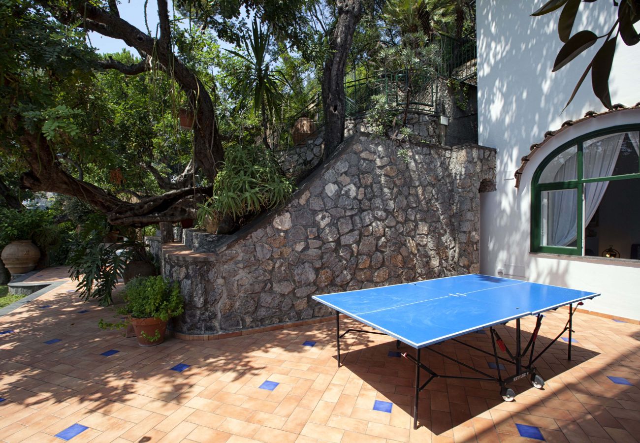 Villa in Positano - AMORE RENTALS - Villa Lo Scoglio with Direct Sea Access and Garden