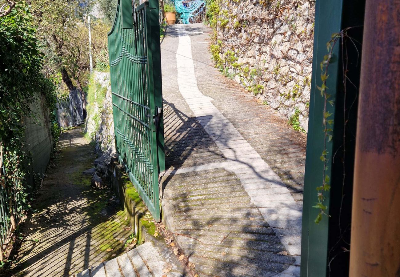 Villa in Positano - AMORE RENTALS - Villa Lo Scoglio with Direct Sea Access and Garden