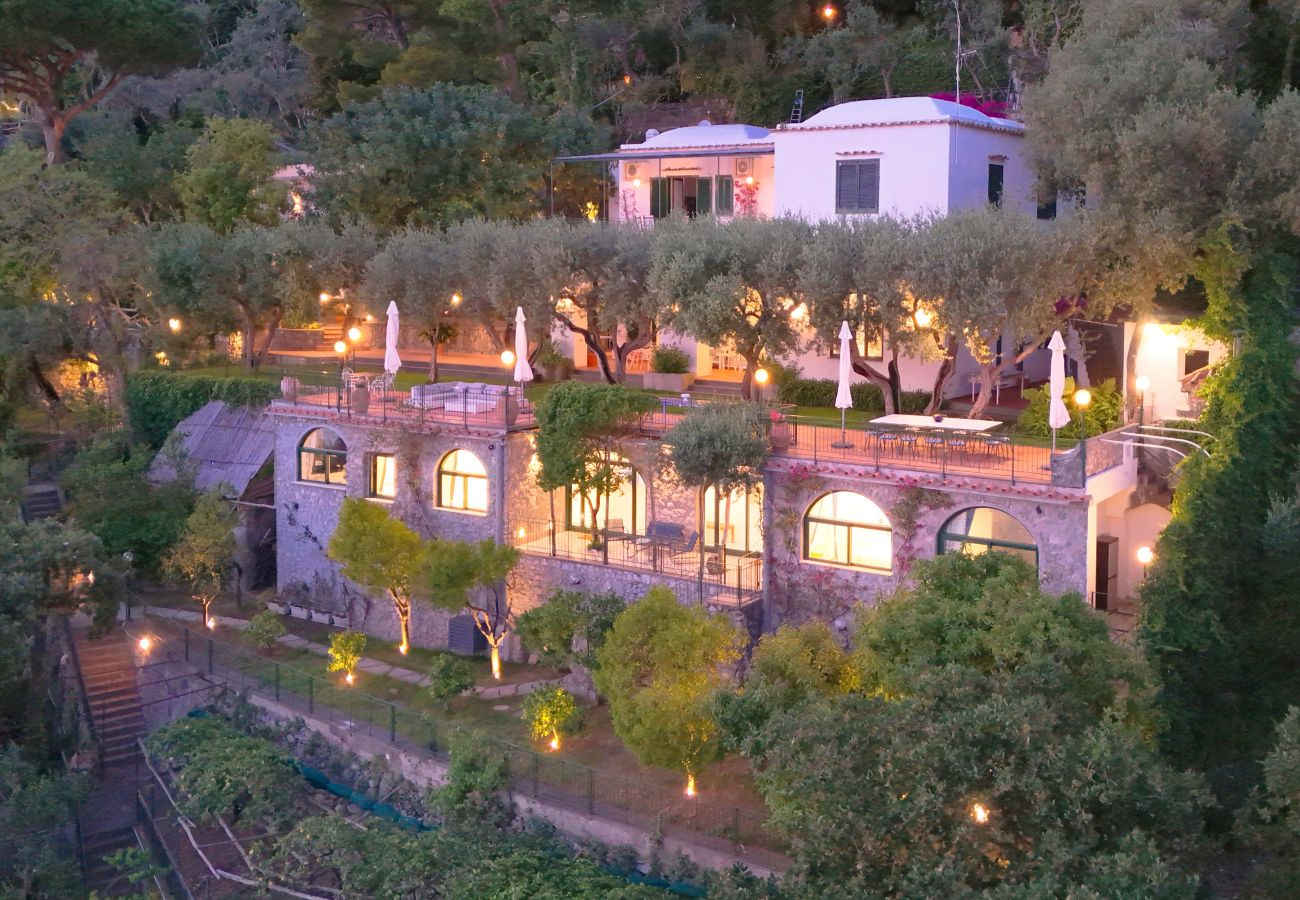 Villa in Positano - AMORE RENTALS - Villa Lo Scoglio with Direct Sea Access and Garden
