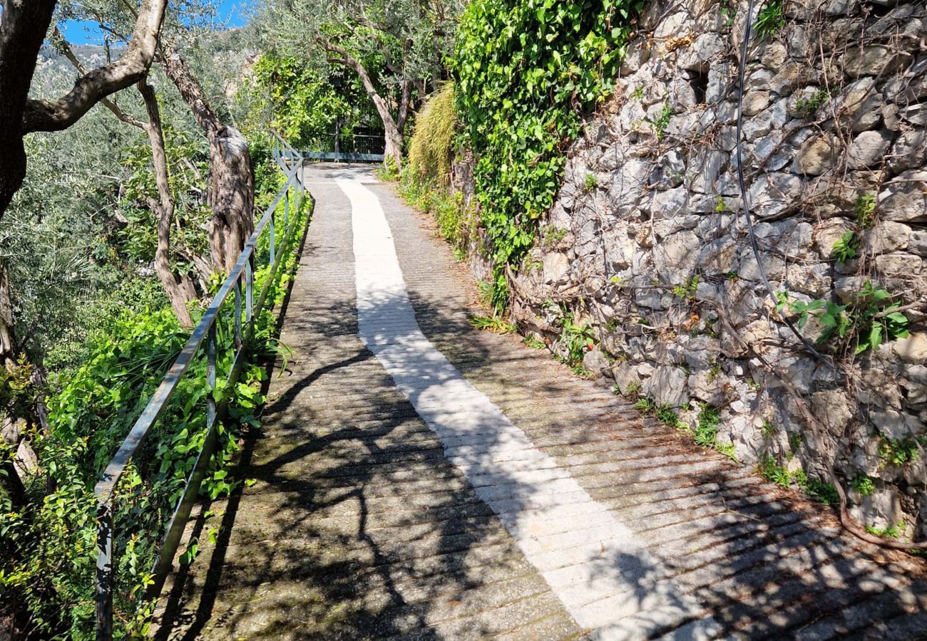 Villa in Positano - AMORE RENTALS - Villa Lo Scoglio with Direct Sea Access and Garden