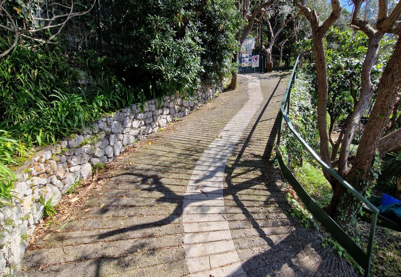 Villa in Positano - AMORE RENTALS - Villa Lo Scoglio with Direct Sea Access and Garden