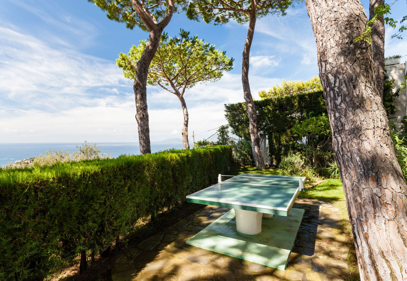 Villa in Massa Lubrense - AMORE RENTALS - Villa Pizzo with Swimming Pool, Garden, Sea View and Parking