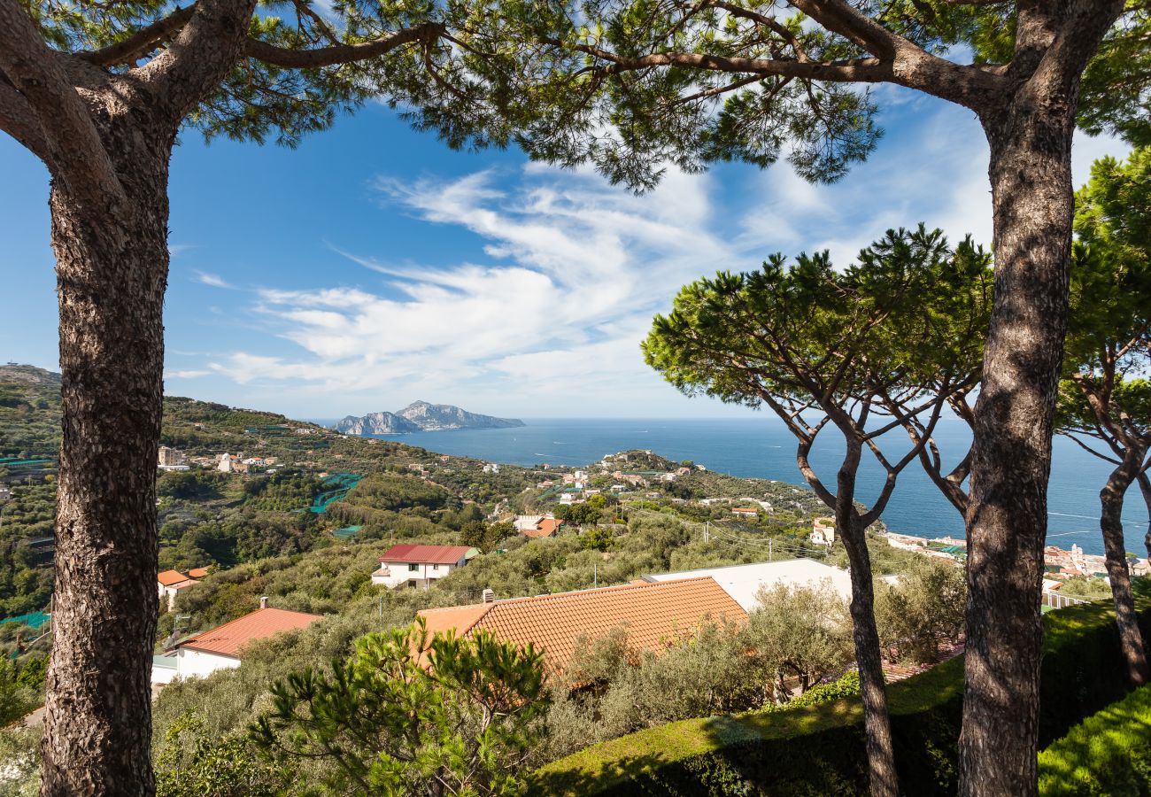 Villa in Massa Lubrense - AMORE RENTALS - Villa Pizzo with Swimming Pool, Garden, Sea View and Parking