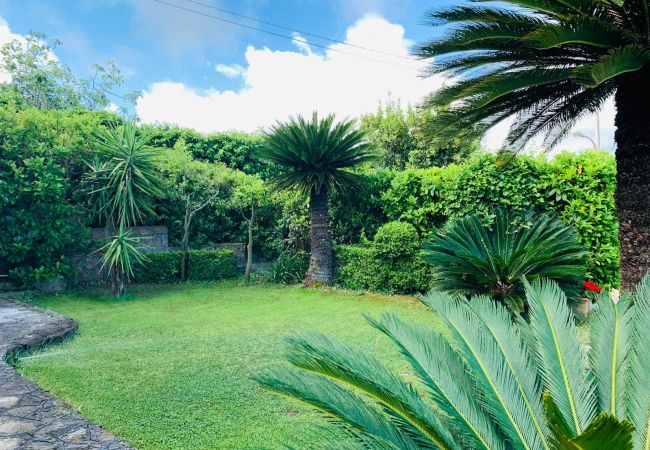 Villa in Massa Lubrense - AMORE RENTALS - Villa Stone on the Sea with Private Pool and Garden Villa in Massa Lubrense - AMORE RENTALS - Villa Stone on the Sea with Private Pool and Garden