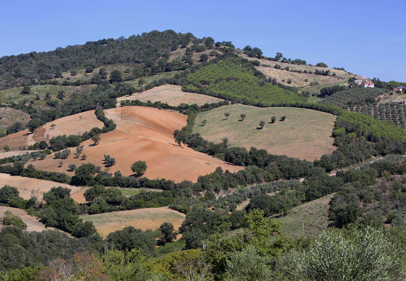 Villa in Campagnatico - AMORE RENTALS - Villa Ambretta with Private Swimming Pool, Garden and Barbecue