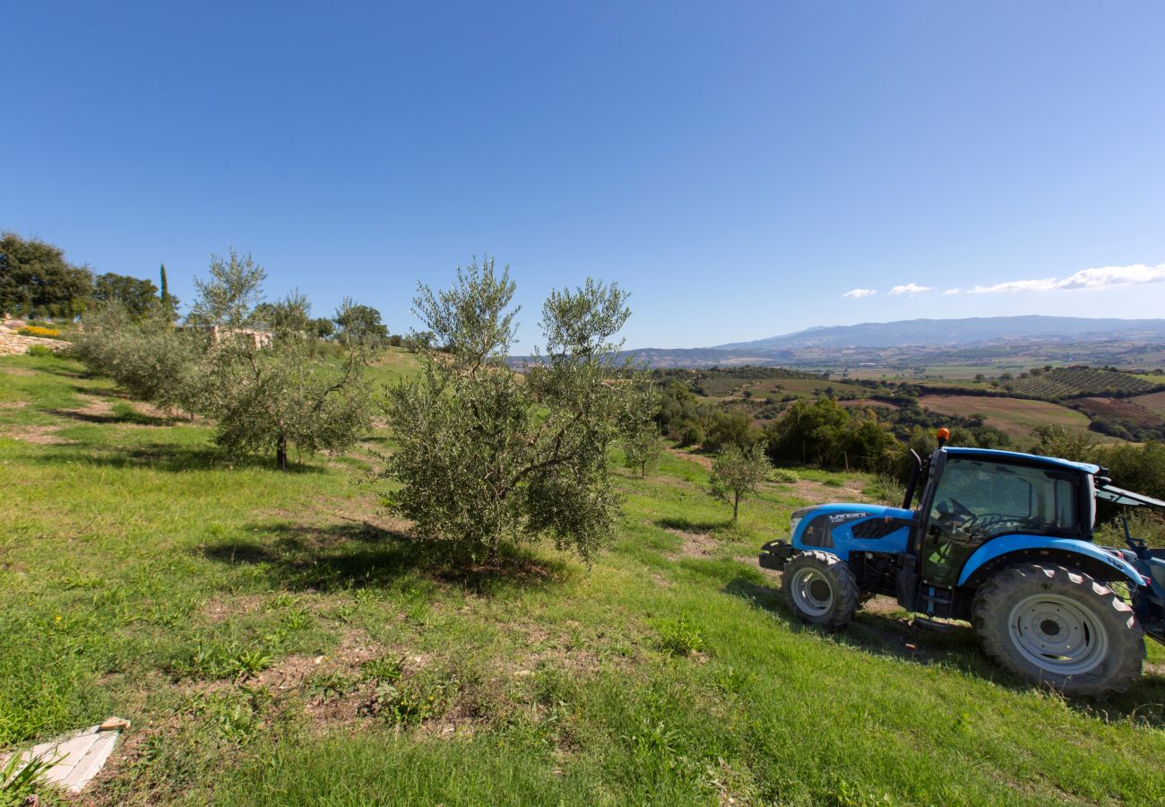 Villa in Campagnatico - AMORE RENTALS - Villa Ambretta with Private Swimming Pool, Garden and Barbecue