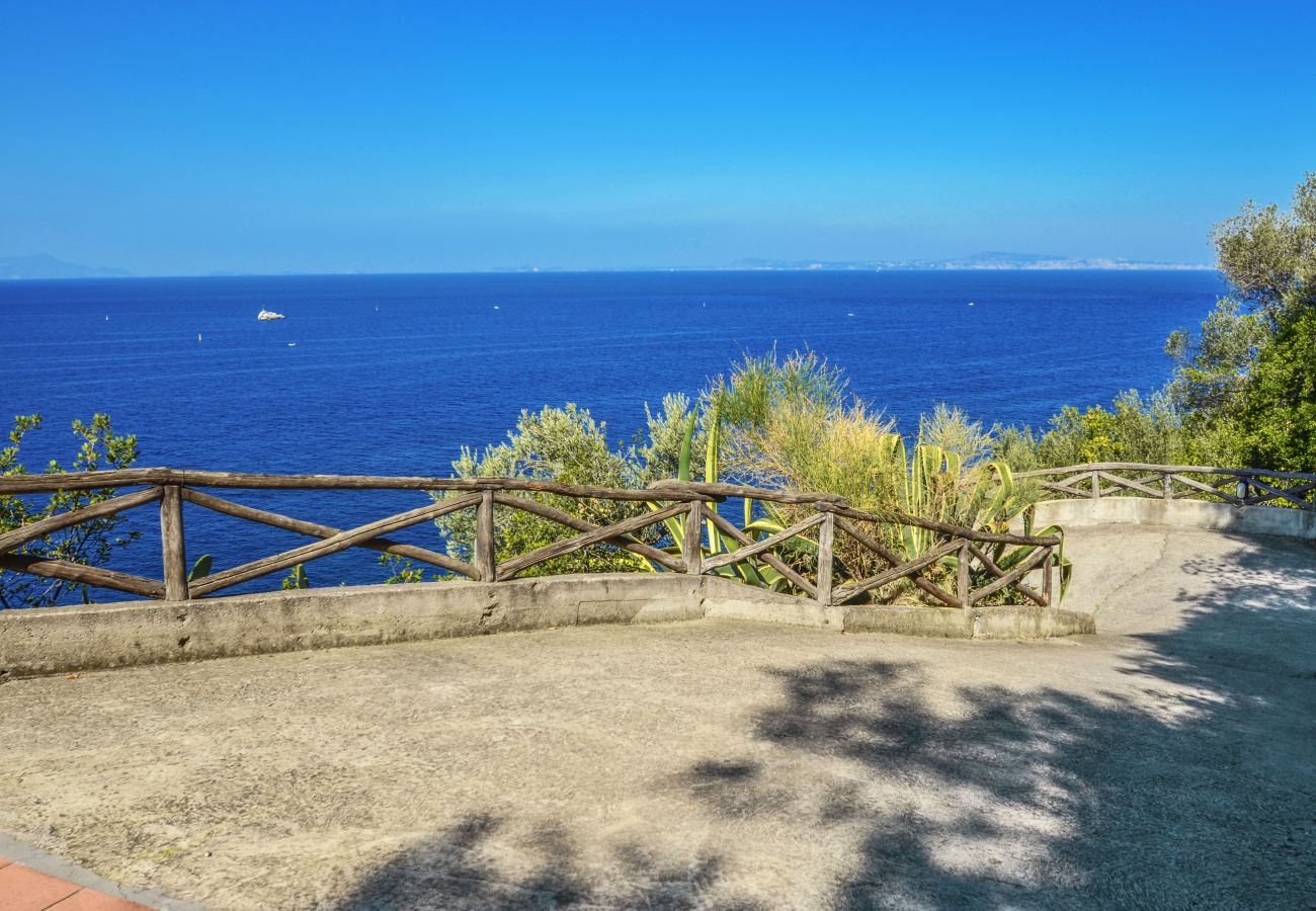 Villa in Massa Lubrense - AMORE RENTALS - AMORE RENTALS - Villa Perla with Sea View, Swimming Pool, and Direct Access to the Sea