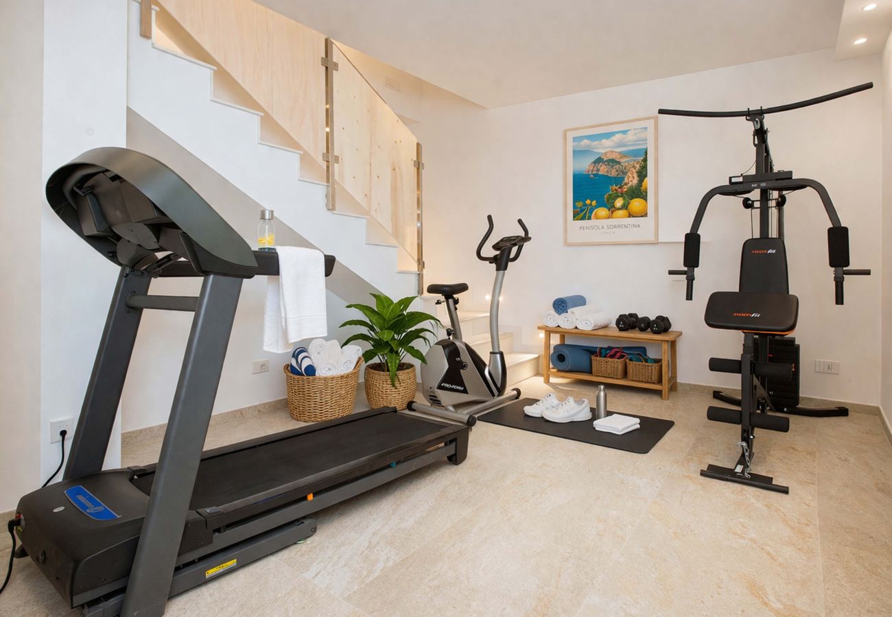 Villa in Sorrento - AMORE RENTALS - Villa Flavia with Private SPA, Swimming Pool, Terraces, Sea View