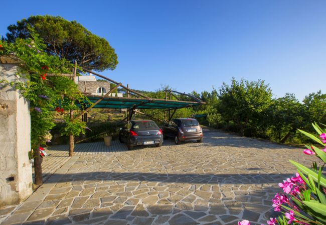 House in Sorrento - AMORE RENTALS - Casa I Giardini di Sorrento with Swimming Pool, Sauna, Sea View