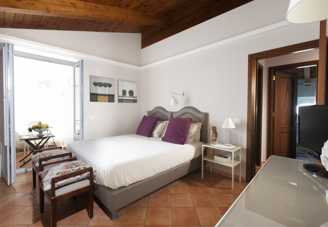 Apartment in Sorrento - AMORE RENTALS - Apartment Terrazza Tasso with Private Garden, External Private Hot Tub in Piazza Tasso