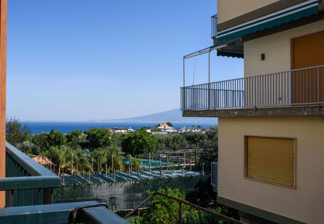 Apartment in Sorrento - AMORE RENTALS - Appartamento Sally with Terrace and Partial Sea View