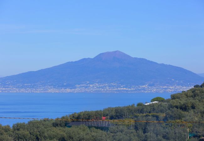 House in Sorrento - AMORE RENTALS - Casa Casarlano 11 Suite with Private Swimming Pool and Sea View