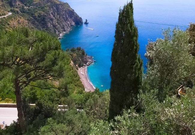 House in Positano - AMORE RENTALS - Villa Vanessa with Private Pool and Sea View House in Positano - AMORE RENTALS - Villa Vanessa with Private Pool and Sea View