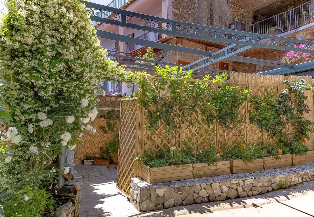House in Positano - AMORE RENTALS - Villa Vanessa with Private Pool and Sea View