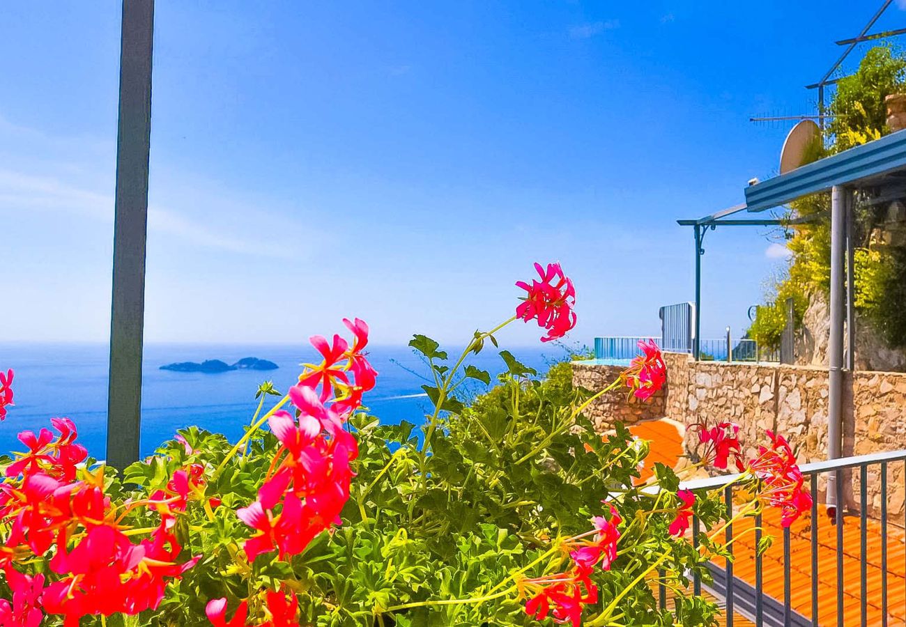 House in Positano - AMORE RENTALS - Villa Vanessa with Private Pool and Sea View