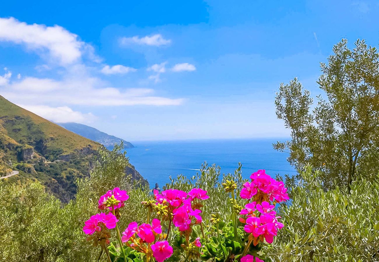 House in Positano - AMORE RENTALS - Villa Vanessa with Private Pool and Sea View