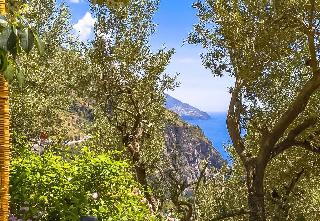 House in Positano - AMORE RENTALS - Villa Vanessa with Private Pool and Sea View