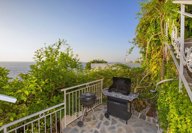 Villa in Massa Lubrense - AMORE RENTALS - Villa Domus Franca with Shared Swimming Pool by the Sea Villa in Massa Lubrense - AMORE RENTALS - Villa Domus Franca with Shared Swimming Pool by the Sea